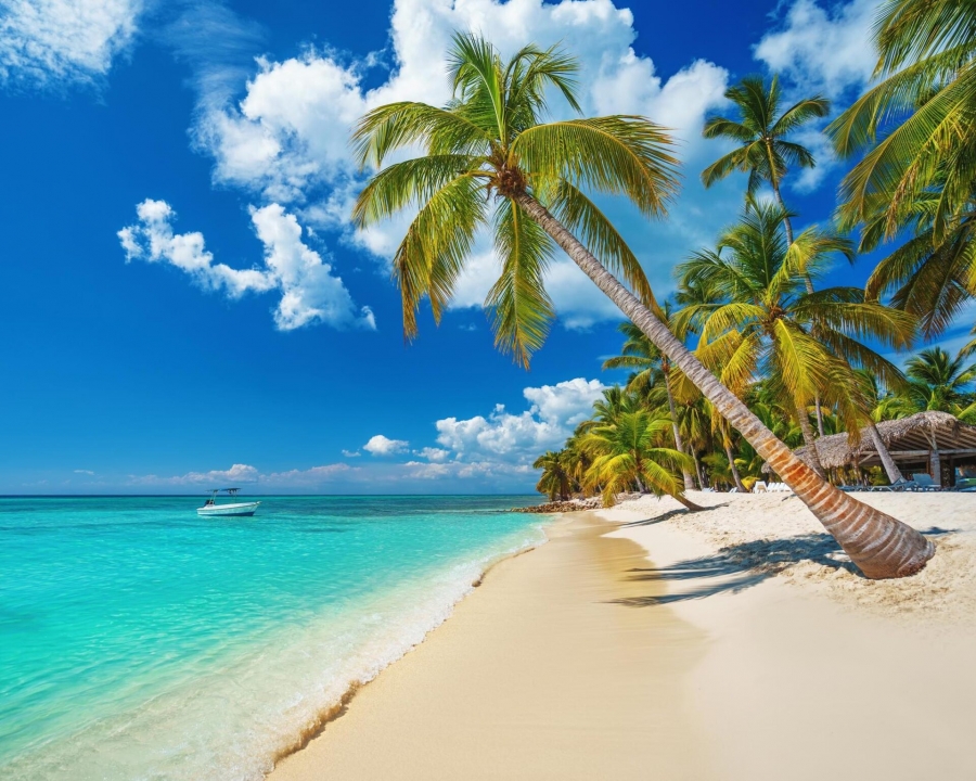 R.DOMINICANA- Punta Cana R.DOMINICANA- Punta Cana