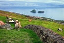 AÇORES- Ilha Terceira