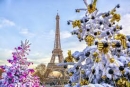 FRANÇA- Paris- Mercados de Natal