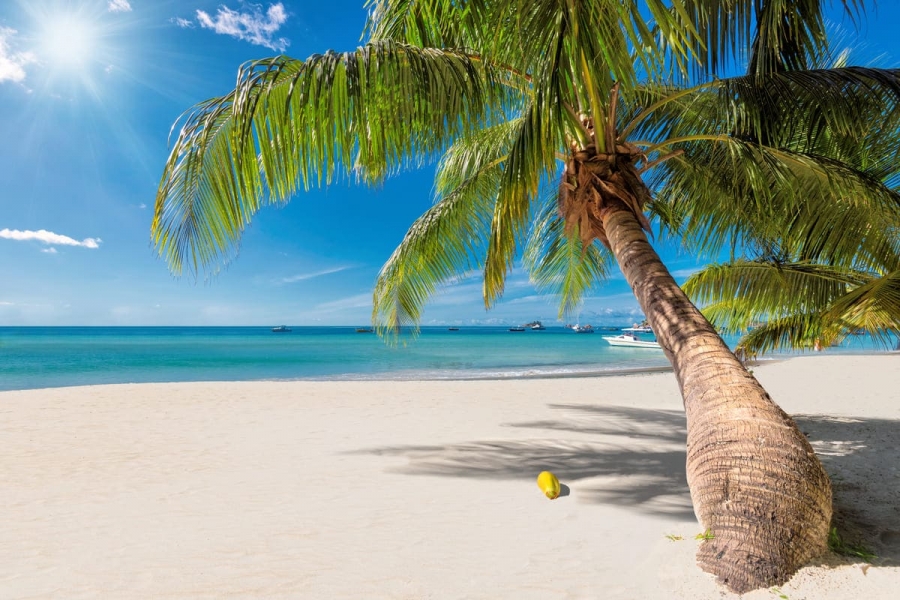 MÉXICO- Cancún MÉXICO- Cancún
